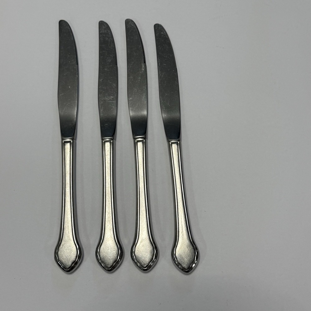 Oneida Summer Mist Autumn Glow Set Of 4 Dinner Knives